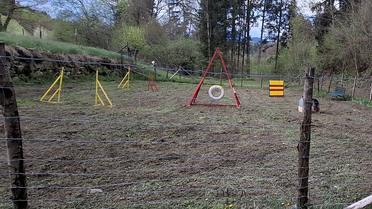 Photo of Outdoor in Montagnaga