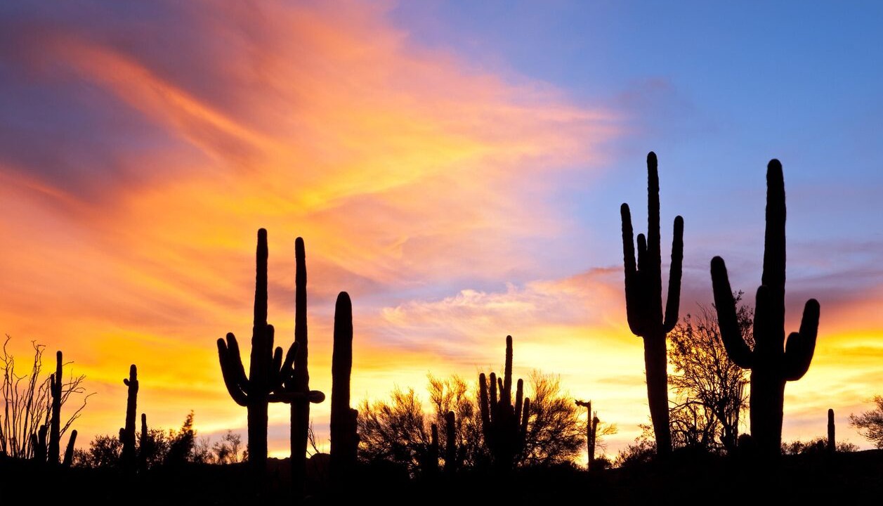 Photo of Outdoor in Fountain Hills