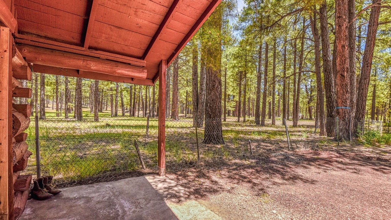 Photo of Others in Parks