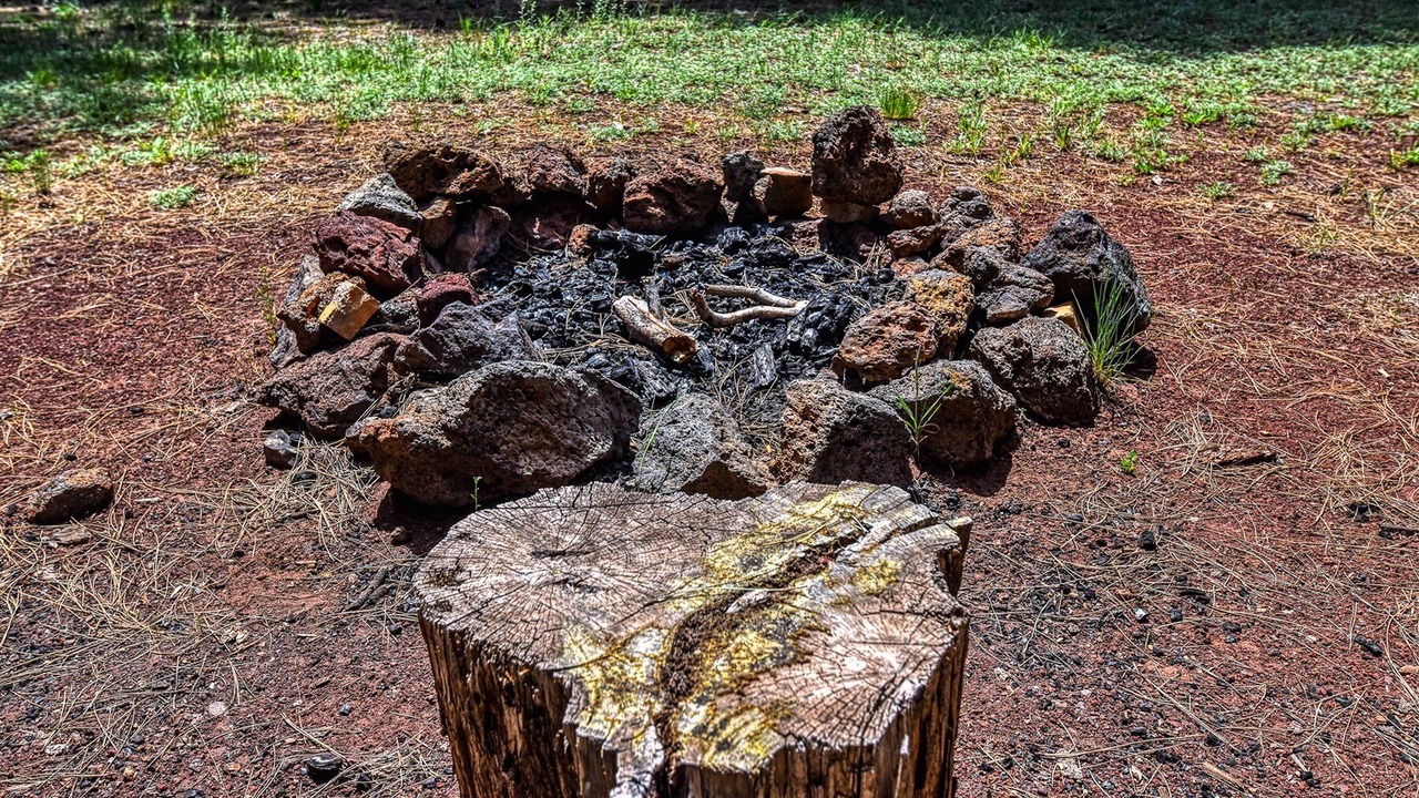 Photo of Others in Parks