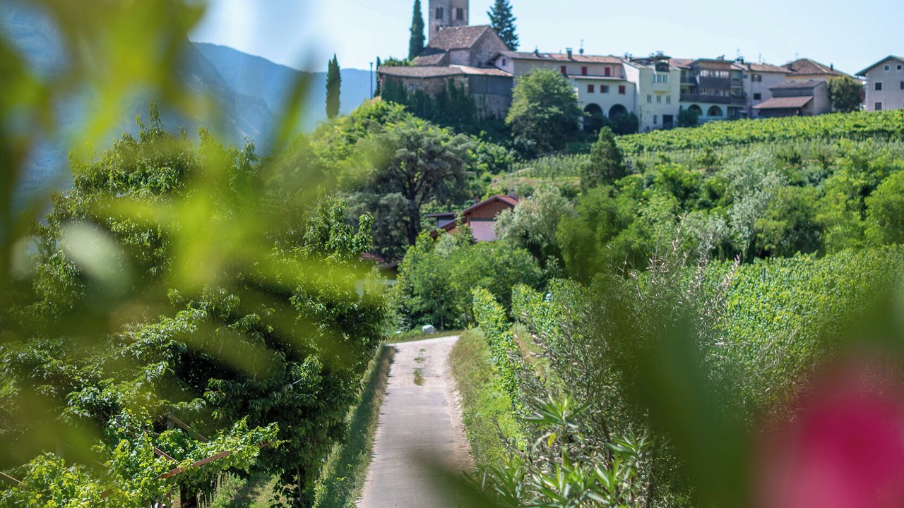Photo of Others in Termeno Sulla Strada del Vino