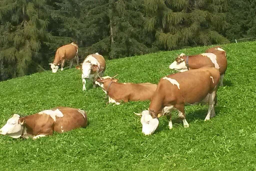 Photo of Others in San Martino in Badia