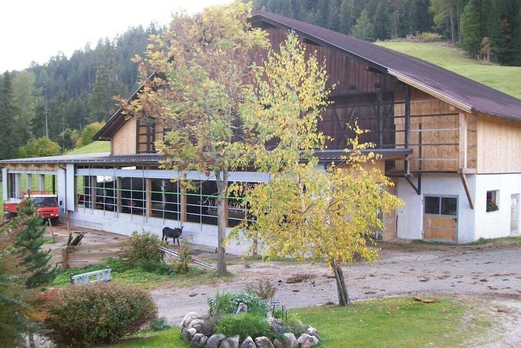 Photo of Outdoor in San Martino in Badia
