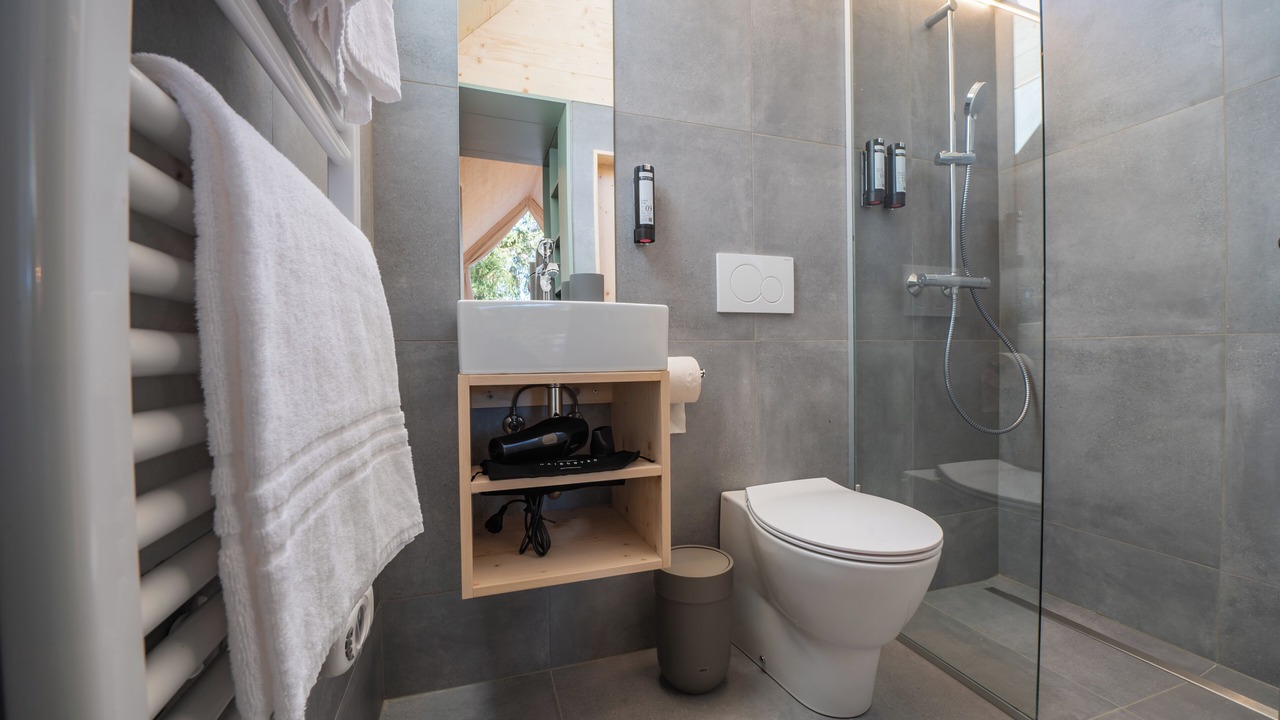 Photo of Bathroom in Armentarola