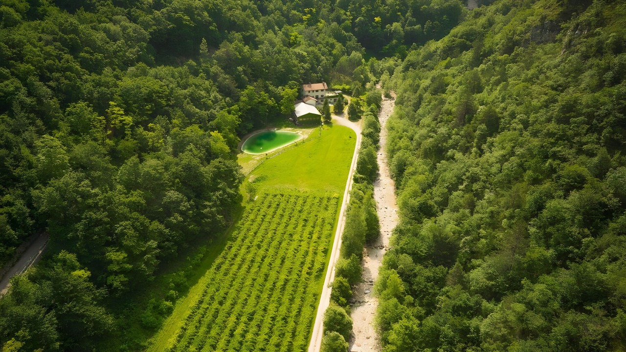 Photo of Outdoor in Ala