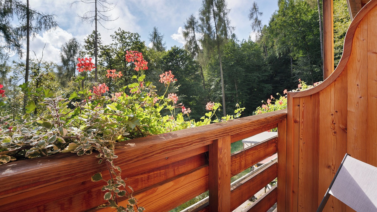 Photo of Outdoor in Roncegno