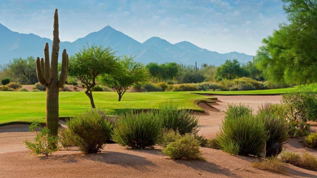 Photo of Others in Desert Ridge