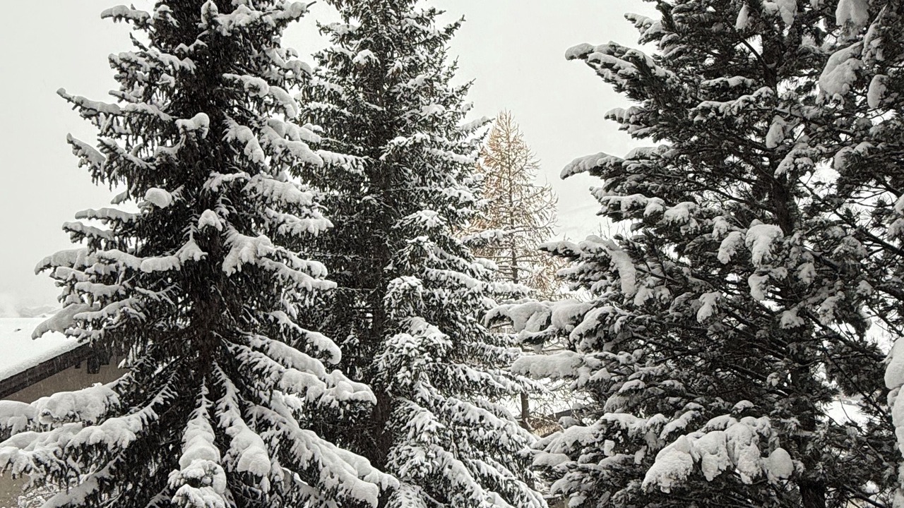 Photo of Outdoor in Zermatt