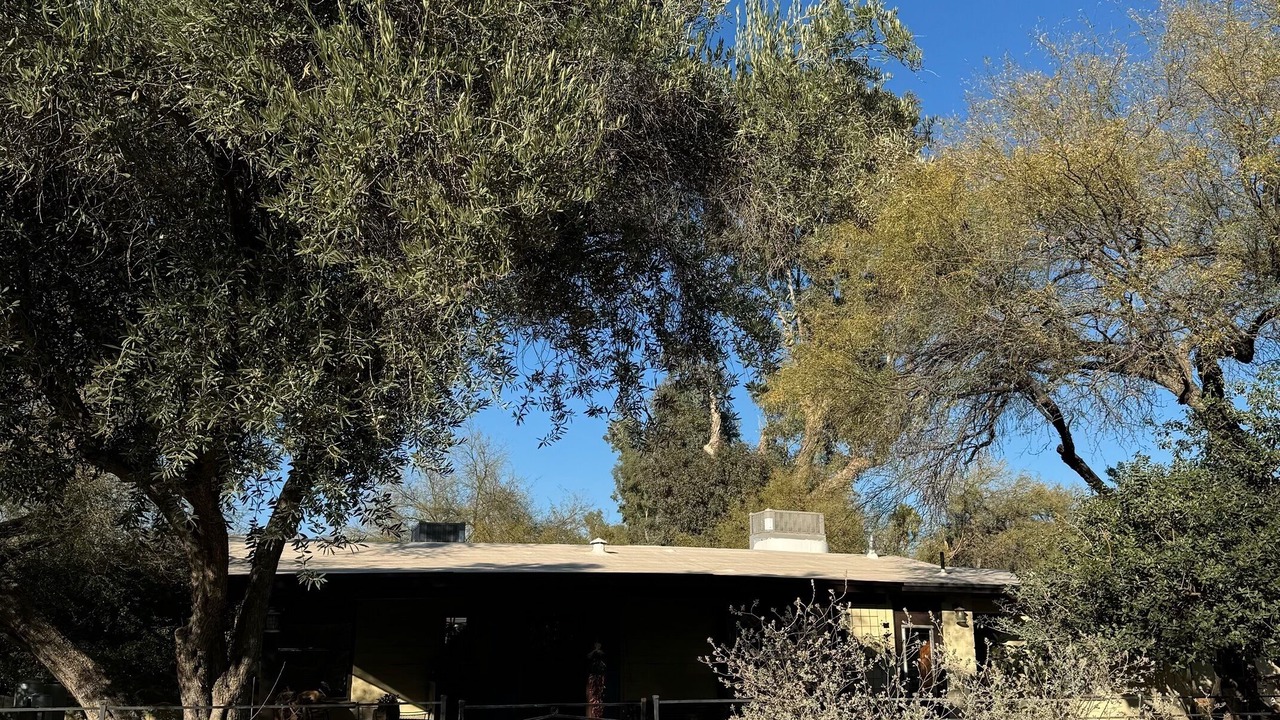 Photo of Outdoor in Tanque Verde