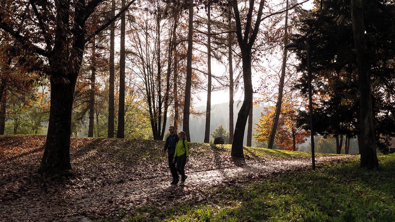 Photo of Others in Pergine Valsugana