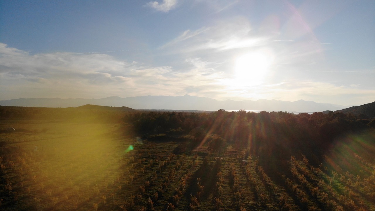 Photo of Others in Shkoder County
