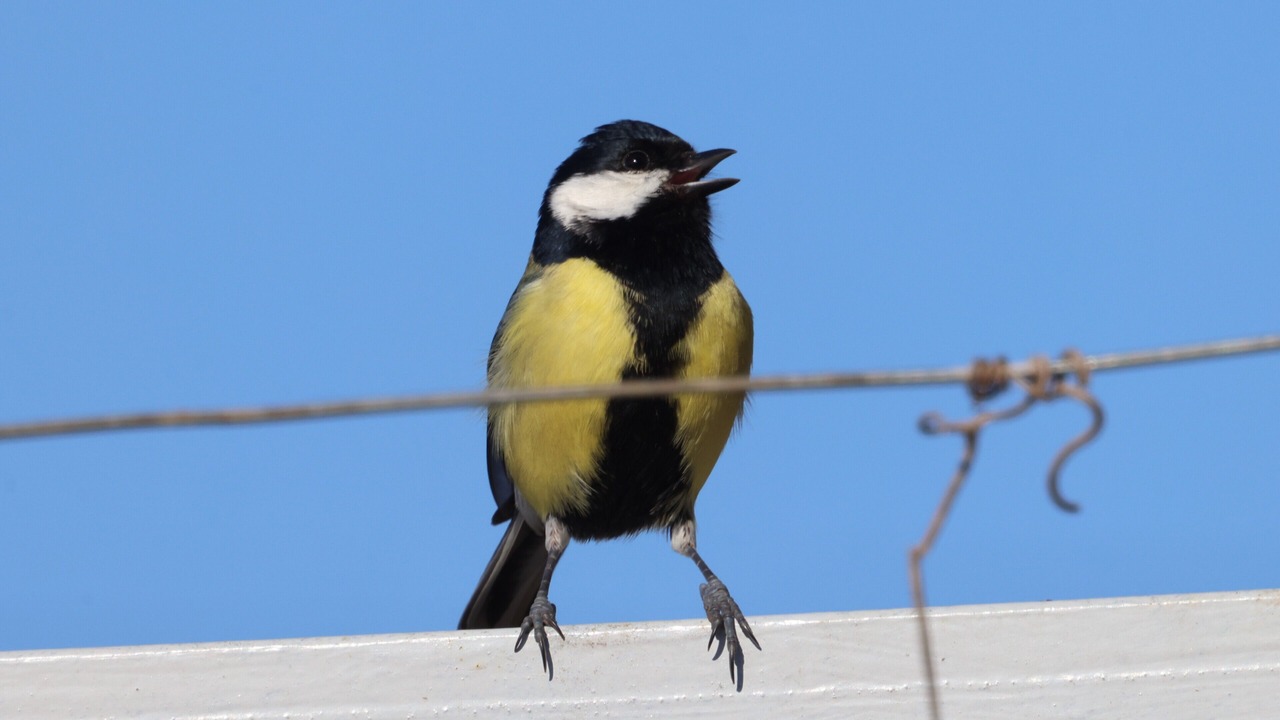 Photo of Others in Shkoder County
