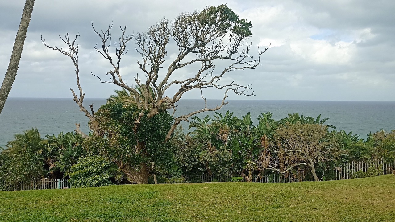 Photo of Outdoor in Southbroom