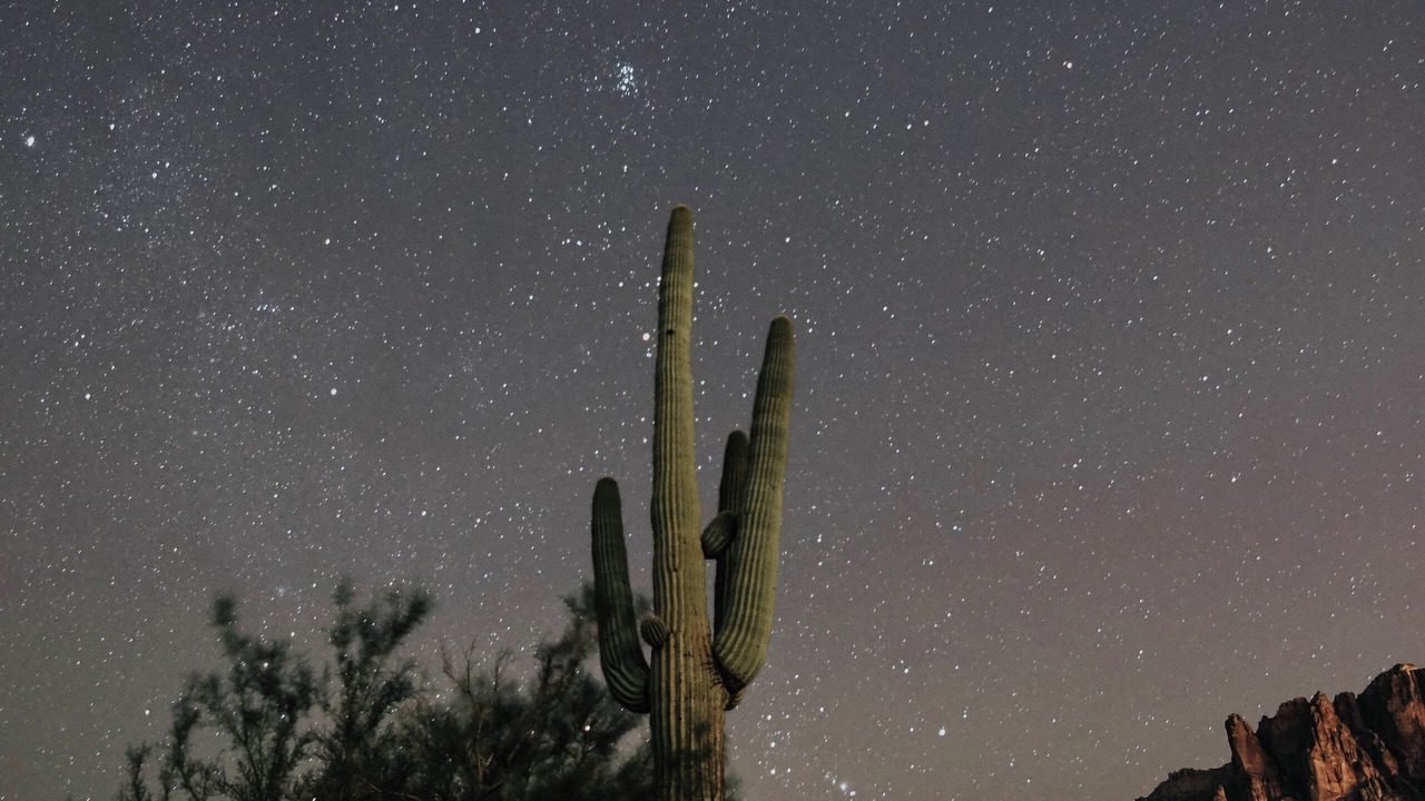 Photo of Others in Apache Junction