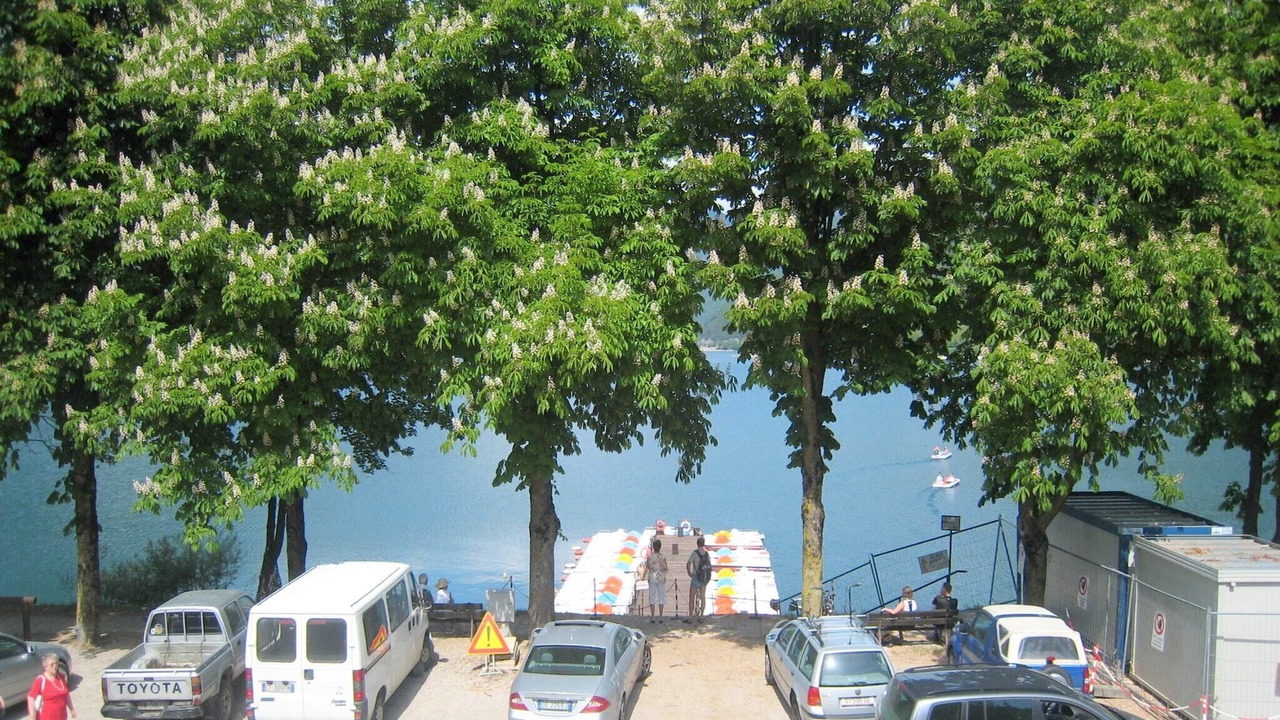 Photo of Others in Molina di Ledro