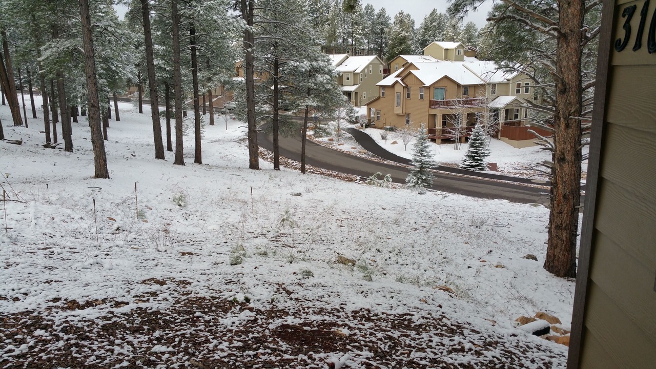 Photo of Others in Flagstaff