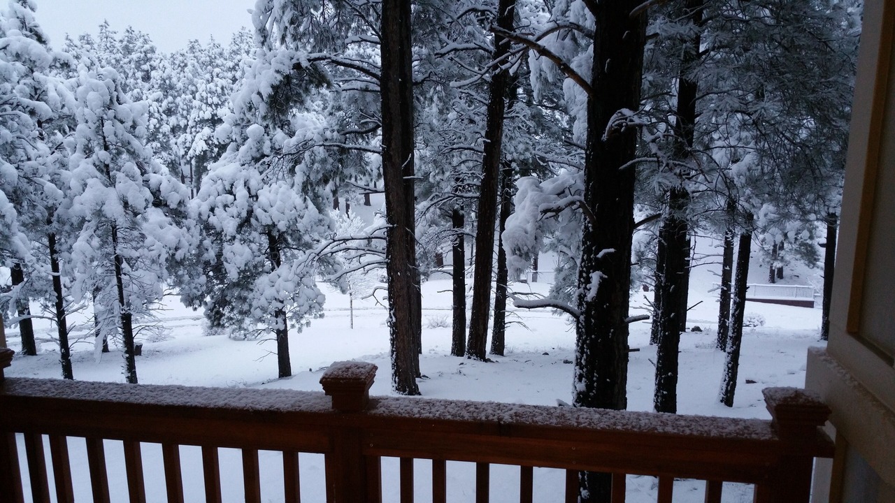 Photo of Others in Flagstaff