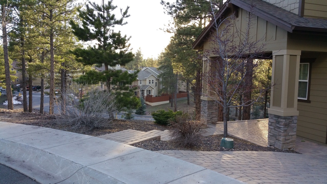 Photo of Others in Flagstaff