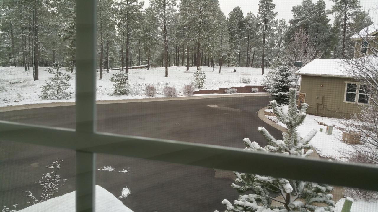 Photo of Others in Flagstaff