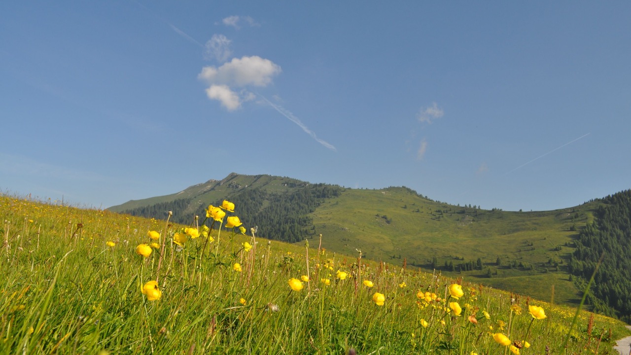 Photo of Outdoor in Canal San Bovo