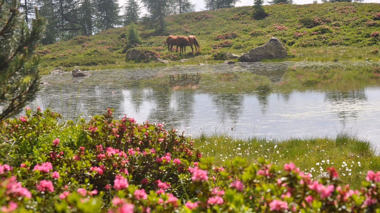 Photo of Outdoor in Canal San Bovo