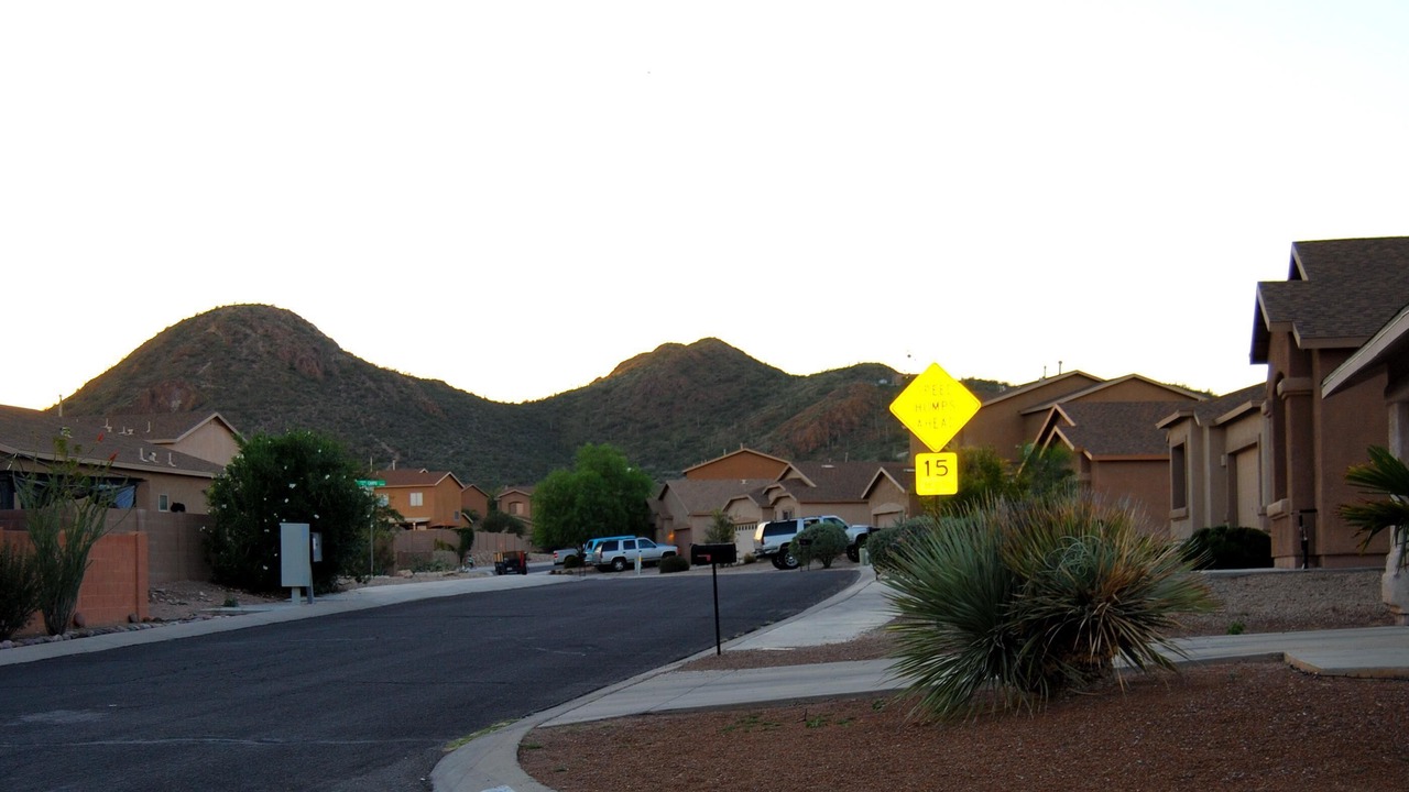 Photo of Outdoor in Presidio Shadows