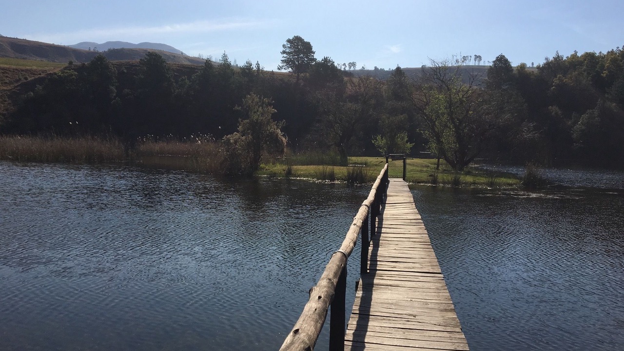 Photo of Outdoor in Cathkin Park