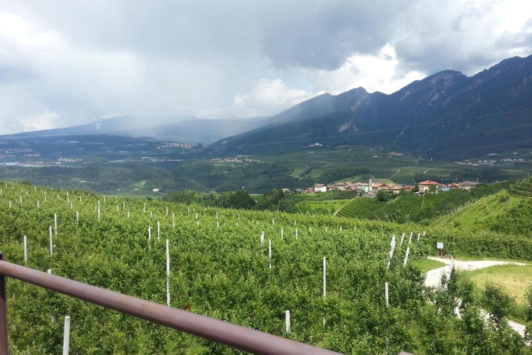 Photo of Outdoor in Ton