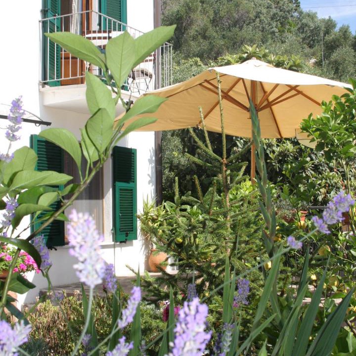Photo of Buildings in Cinque Terre