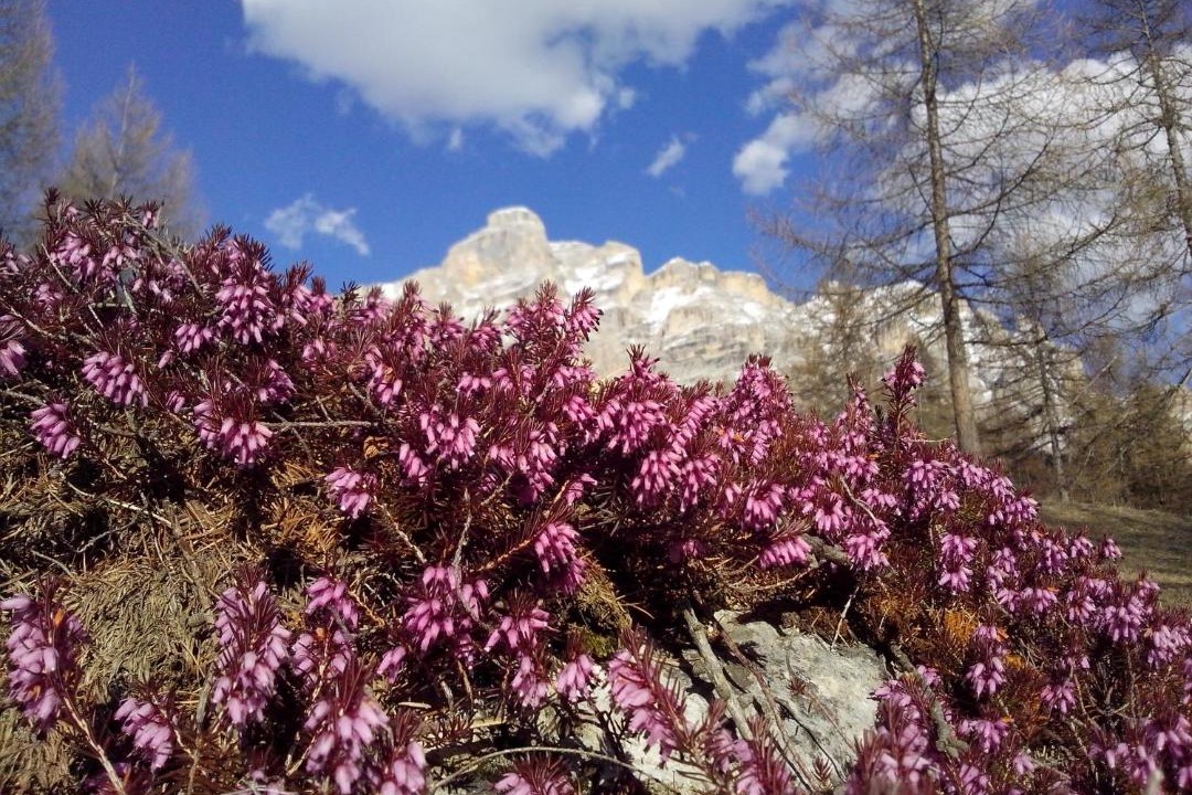 Photo of Others in San Cassiano