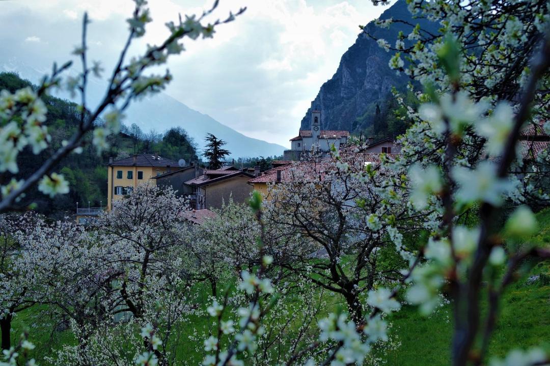 Photo of Others in Pregasina