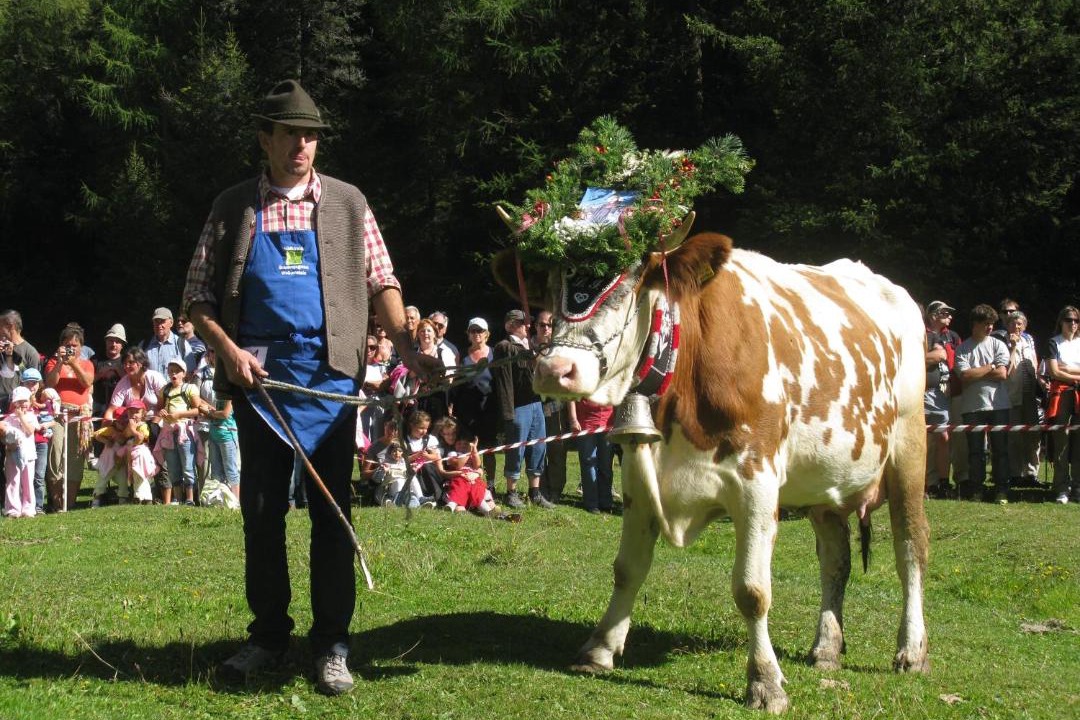 Photo of Others in Selva di Val Gardena