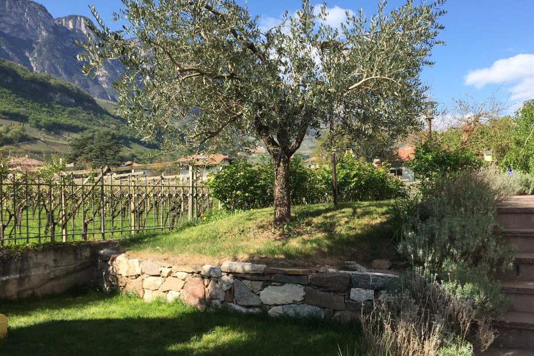 Photo of Others in Magre sulla Strada del Vino