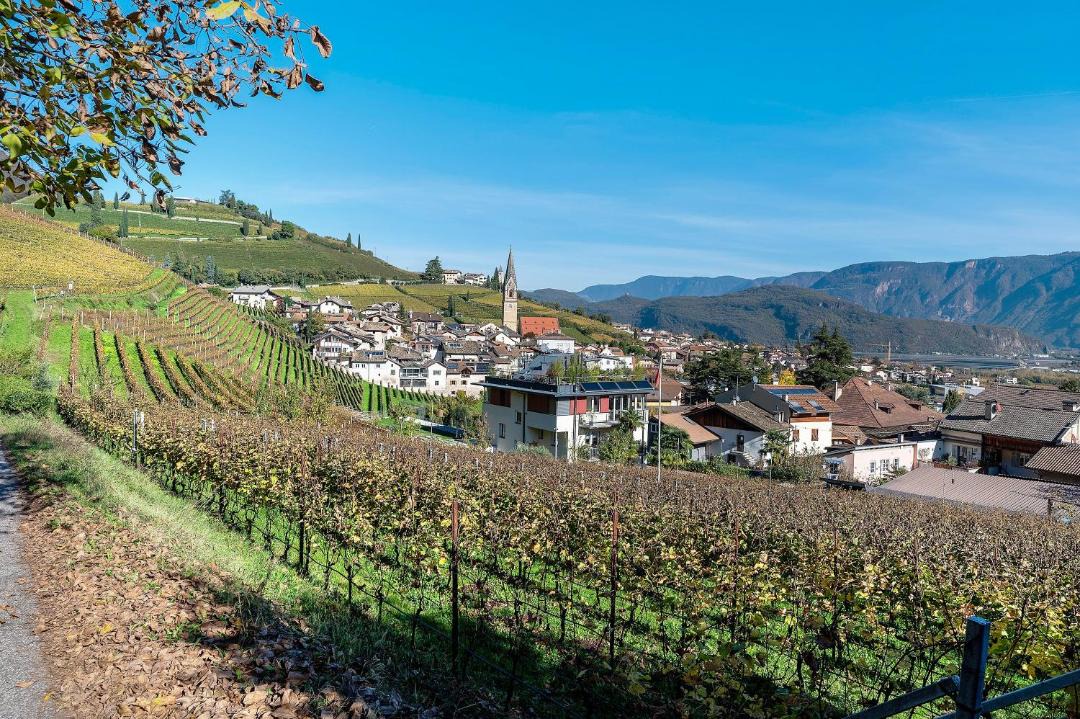 Photo of Others in Tramin