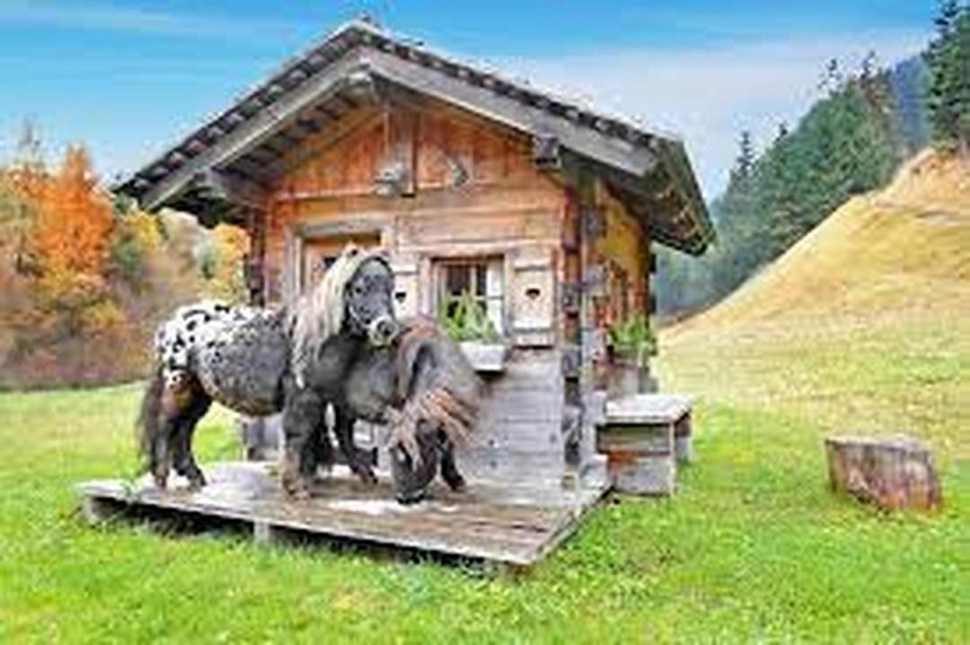 Photo of Others in Selva di Val Gardena