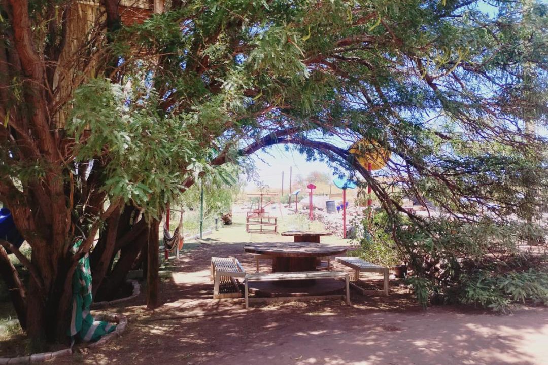 Photo of Others in San Pedro de Atacama