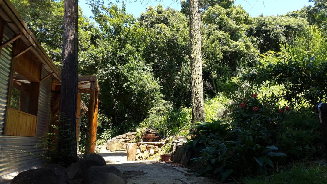 Photo of Others in Karkloof Nature Reserve
