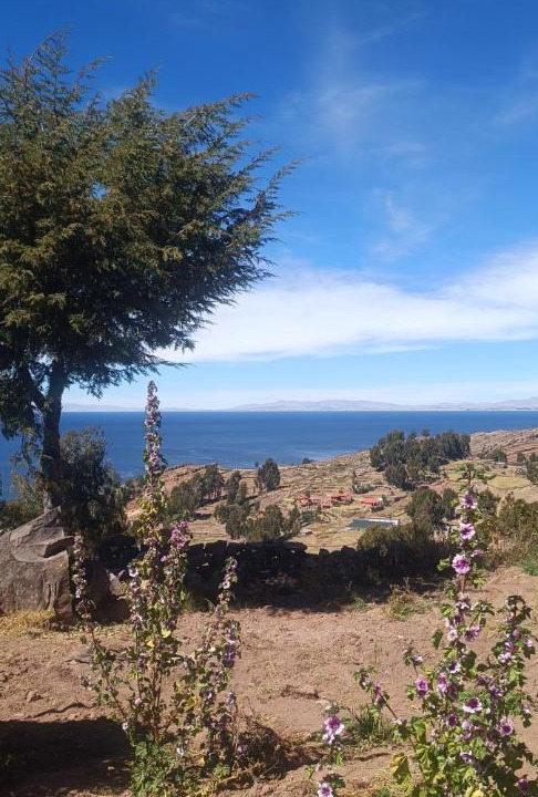 Photo of Others in Isla Taquile