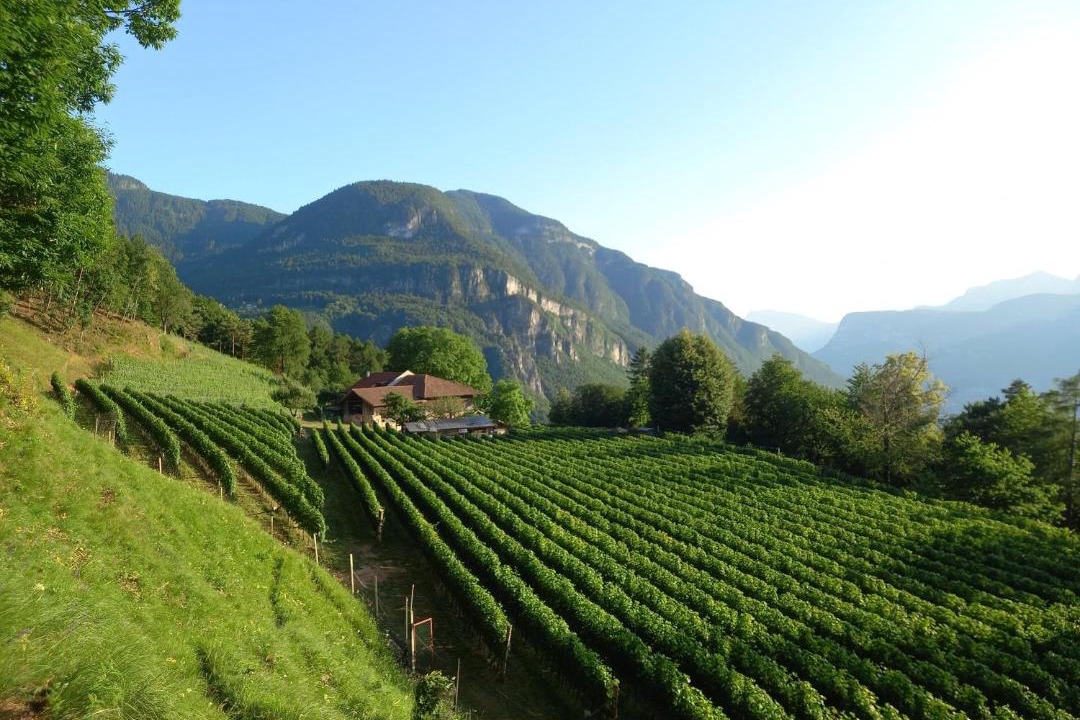 Photo of Others in Montagna