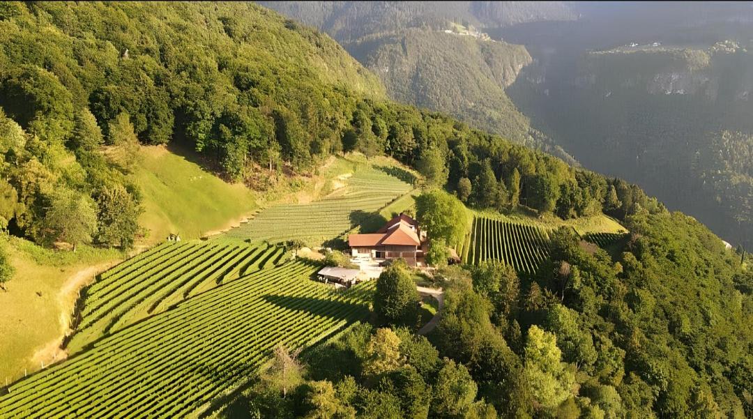 Photo of Others in Montagna