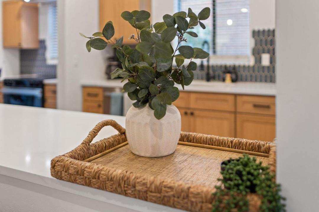 Photo of Kitchen in Sam Hughes