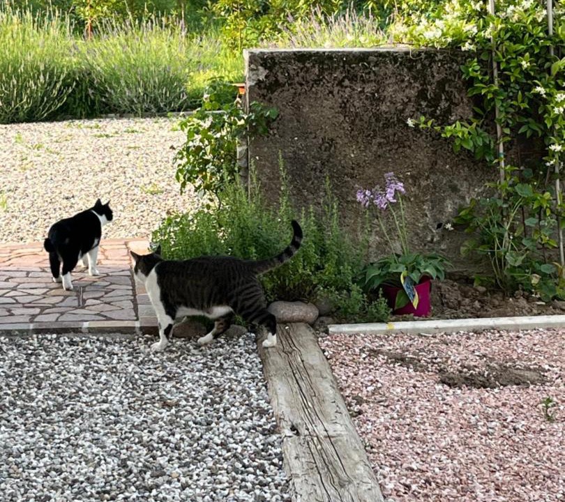 Photo of Others in Martignano