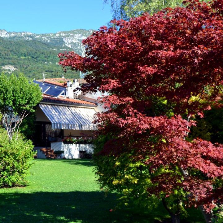 Photo of Others in Sasso
