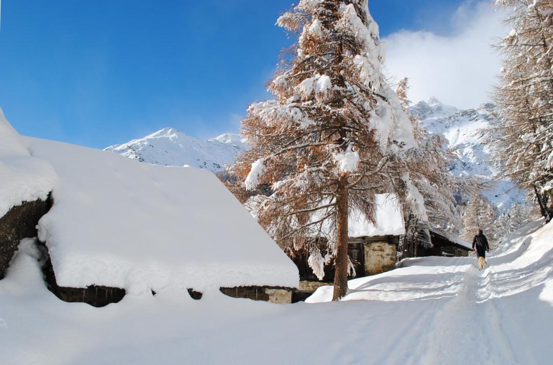 Photo of Buildings in Peio