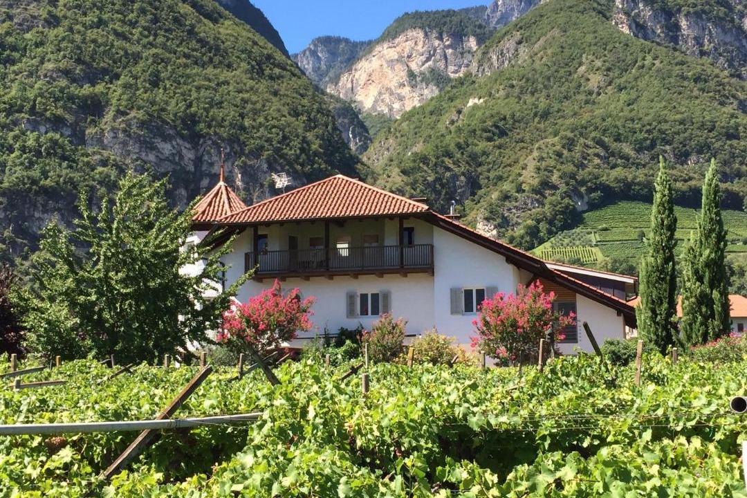 Photo of Others in Magre sulla Strada del Vino