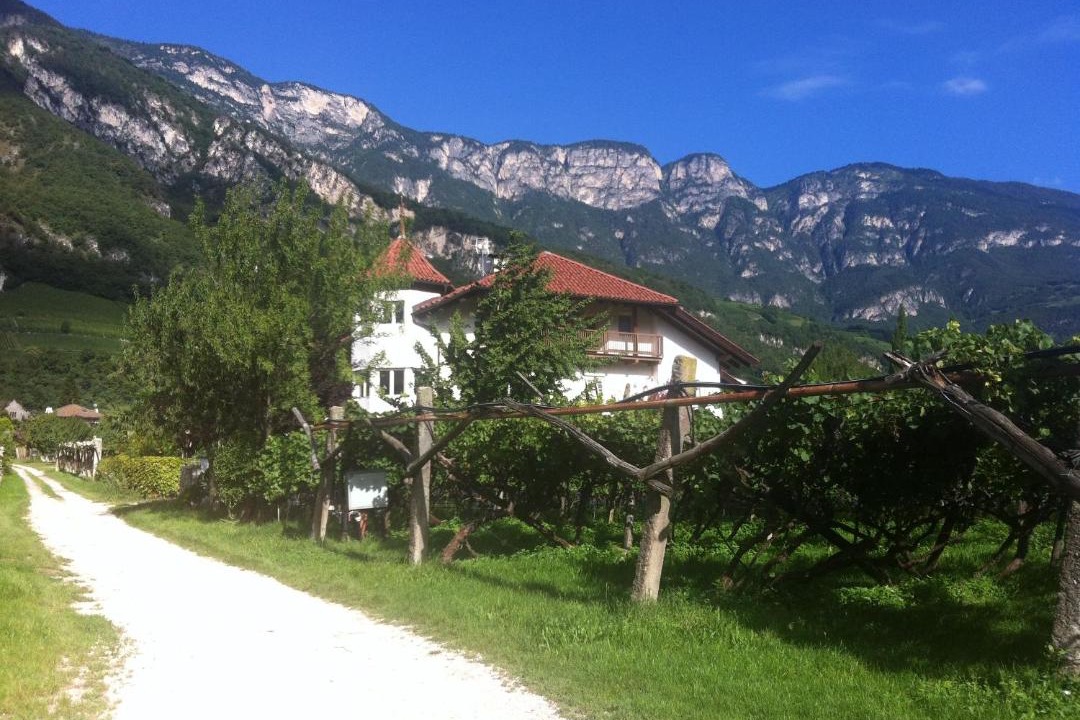 Photo of Others in Magre sulla Strada del Vino