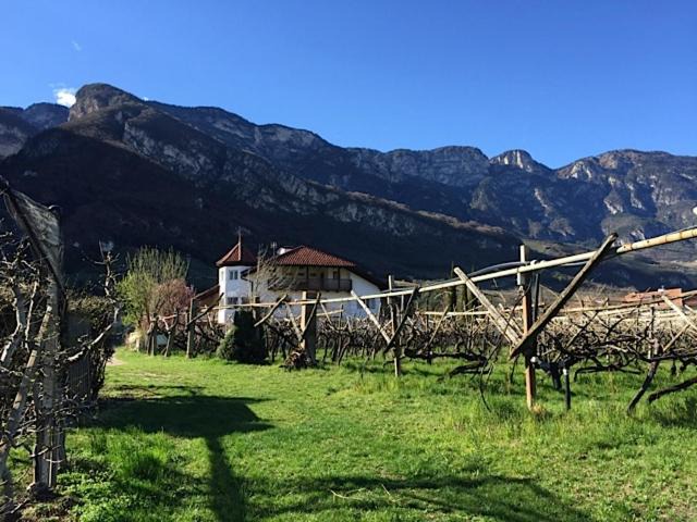Photo of Others in Magre sulla Strada del Vino