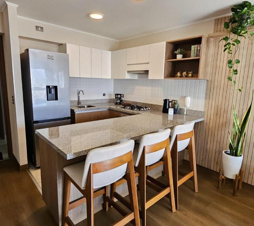 Photo of Kitchen in San Isidro Centro Financiero