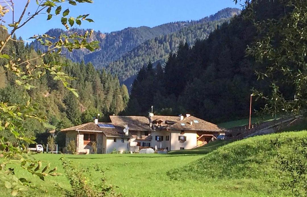 Photo of Others in Castello-Molina di Fiemme