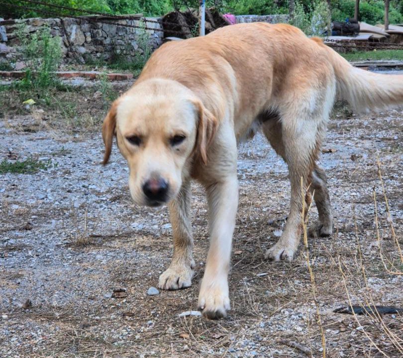 Photo of Others in Shkoder County